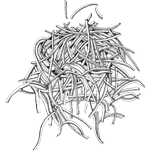 DE BIERHOEVE website